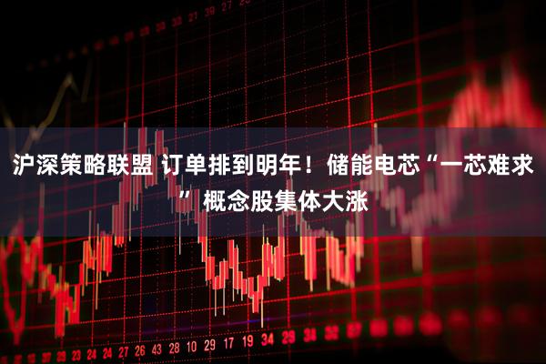 沪深策略联盟 订单排到明年！储能电芯“一芯难求” 概念股集体大涨