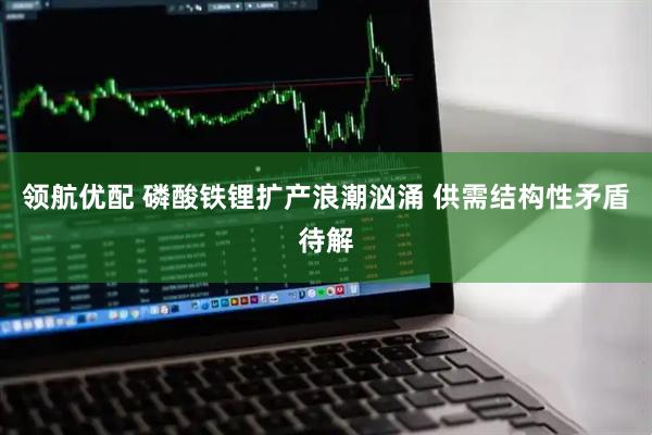 领航优配 磷酸铁锂扩产浪潮汹涌 供需结构性矛盾待解